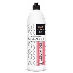 Prosalon Color Art zpevňující šampon s ceramidy 1000 ml